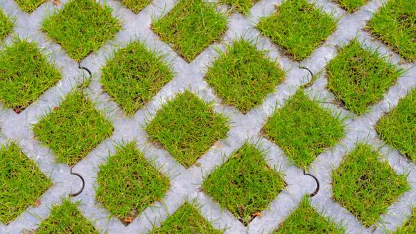 Für eine Teilentsiegelung des Bodens können Rasengittersteine genutzt werden: Zwischen den wabenförmigen Pflastersteinen kann Rasen wachsen, was die Versickerung von Niederschlagswasser verbessert (IMAGO / Jochen Tack) Für eine Teilentsiegelung des Bodens können Rasengittersteine genutzt werden: Zwischen den wabenförmigen Pflastersteinen kann Rasen wachsen, was die Versickerung von Niederschlagswasser verbessert (IMAGO / Jochen Tack)